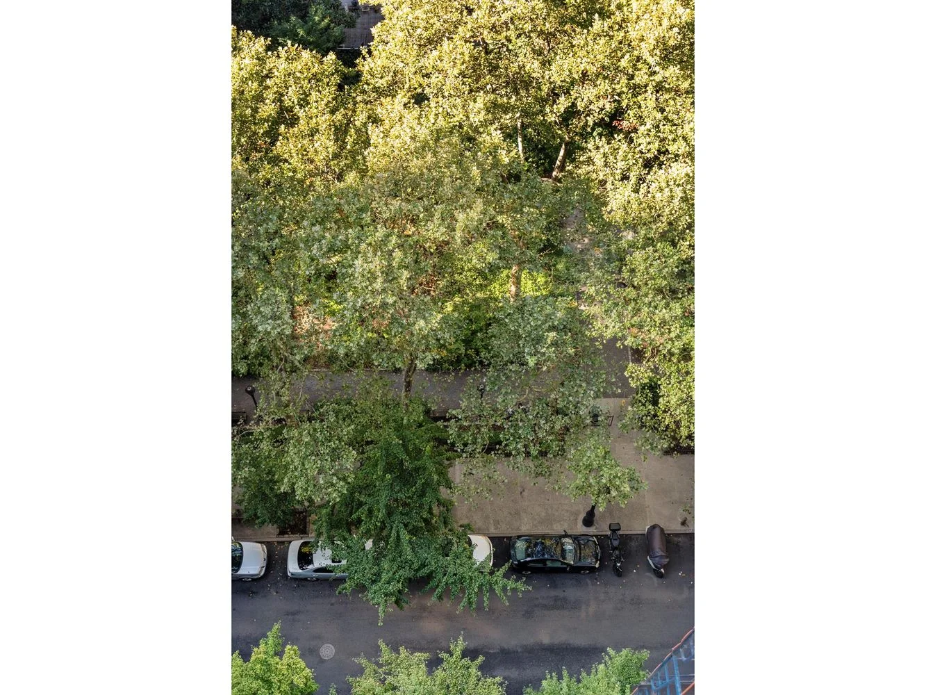 Apartamento de 1 Dormitorio en Venta en Manhattan – New York, NY - 6