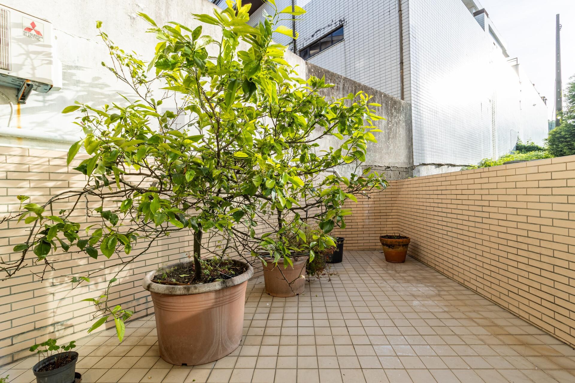 2 Bedroom Apartment for Sale in São João Da Madeira - Aveiro - Portugal - 7