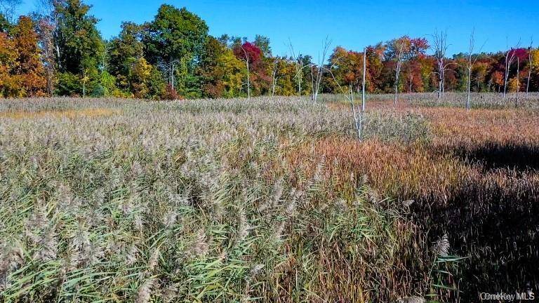 Land for Sale in Pawling - NY - USA - 7