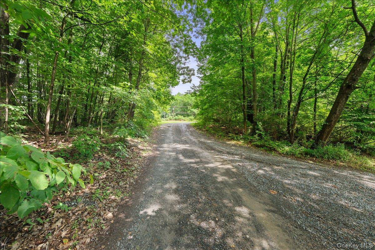 Casa com 1 Quartos à Venda em Rhinebeck - Nova Iorque - EUA - 4