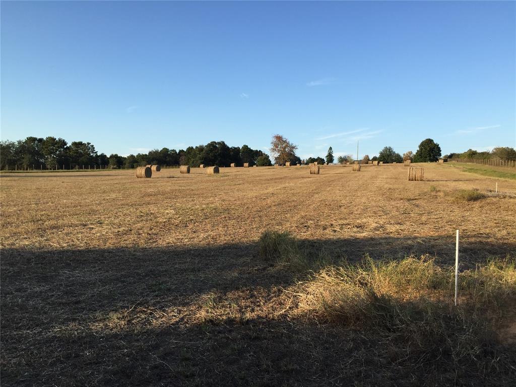 Maison de 3 Chambres à Vendre à Howey In The Hills - Floride - États-Unis - 6