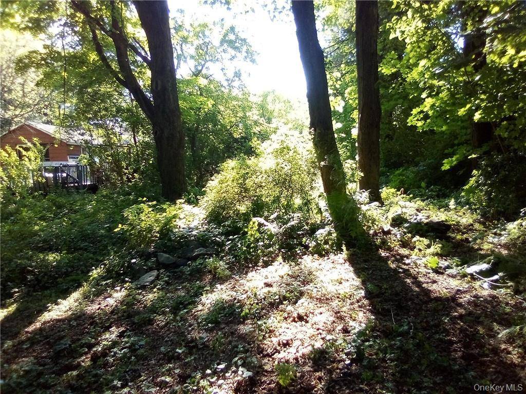 Casa com 3 Quartos à Venda em Hyde Park - Nova Iorque - EUA - 1