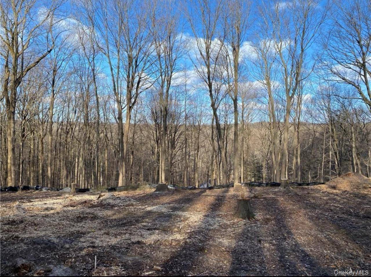 Casa de 4 Dormitorios en Venta en Armonk - Nueva York - EE. UU. - 2