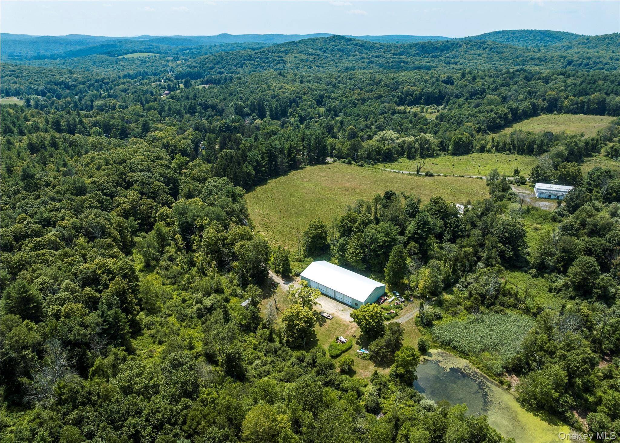 Casa de 4 Dormitorios en Venta en Pine Plains - Nueva York - EE. UU. - 3