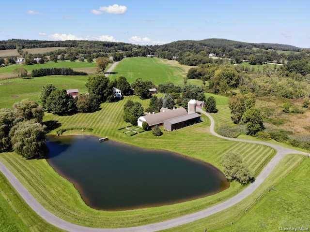 Casa com 6 Quartos à Venda em Pine Plains - Nova Iorque - EUA - 3