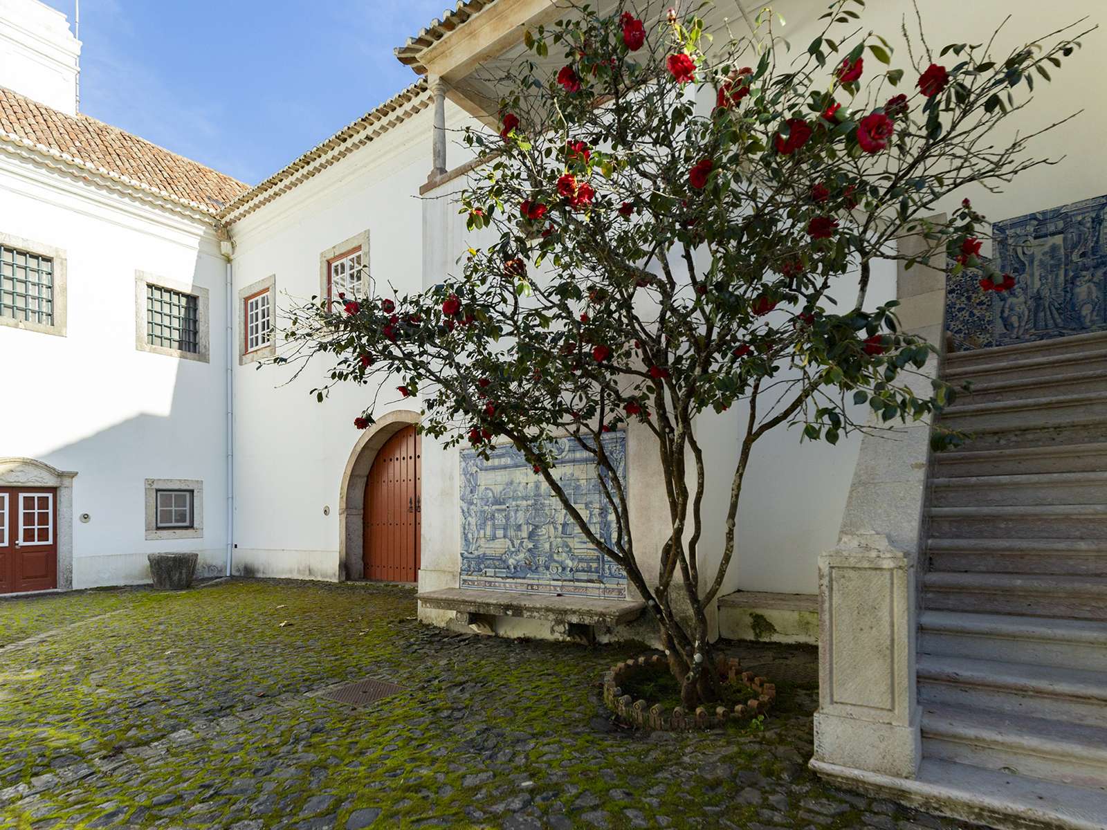 8 Bedroom Home for Sale in Mafra, Lisbon, Portugal - 3