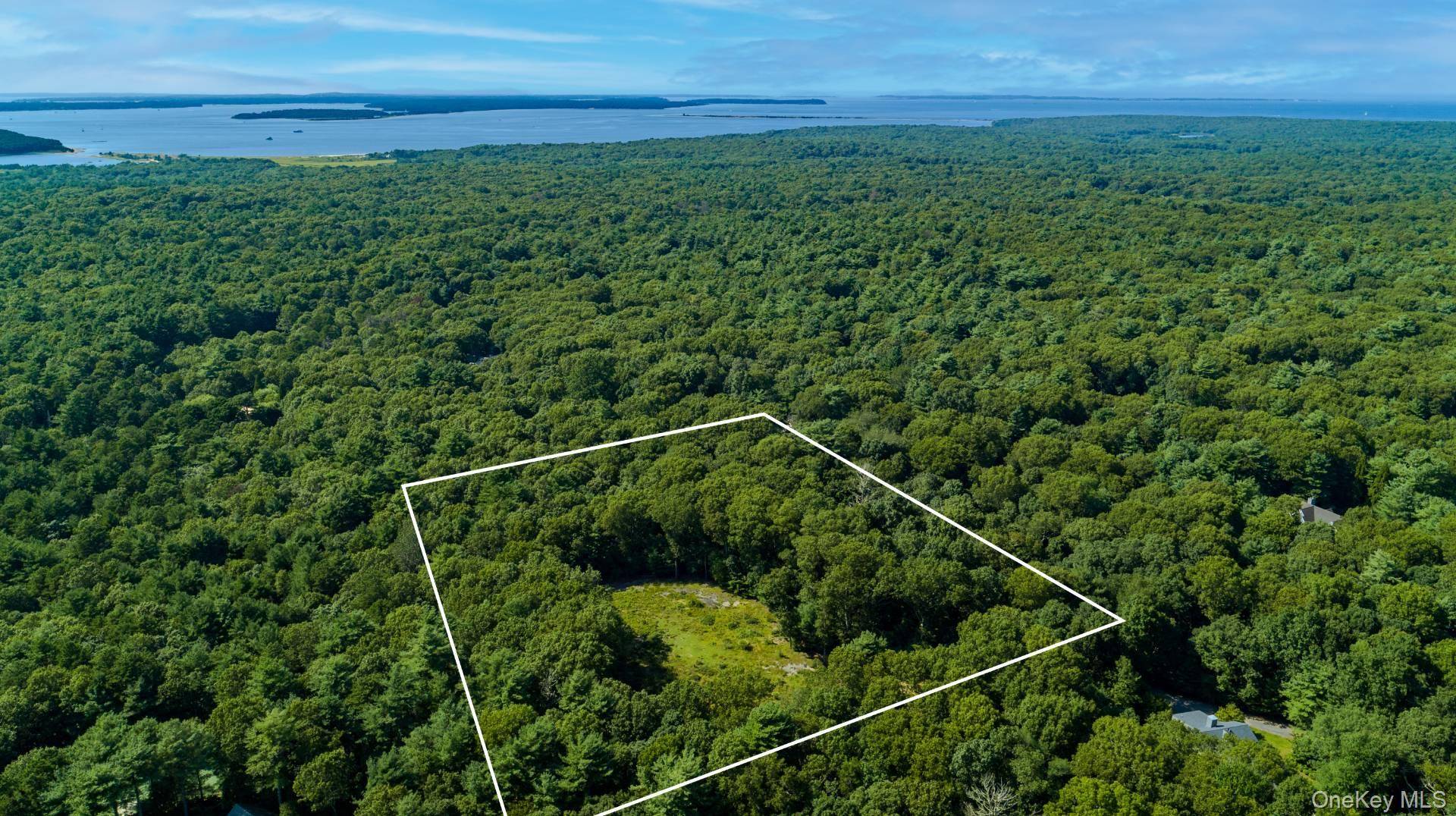 8 Bedroom House for Sale in Southampton - NY - USA - 4