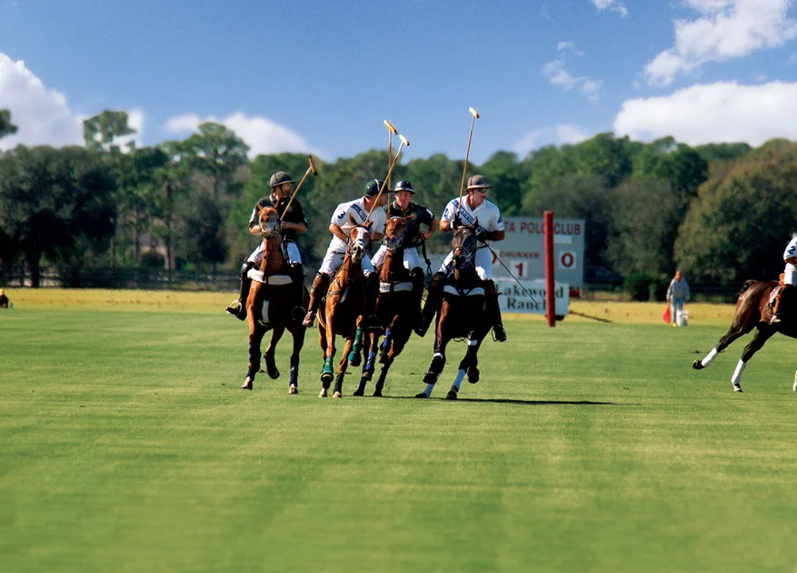 3 Bedroom Home for Sale in Bradenton – FL - 3