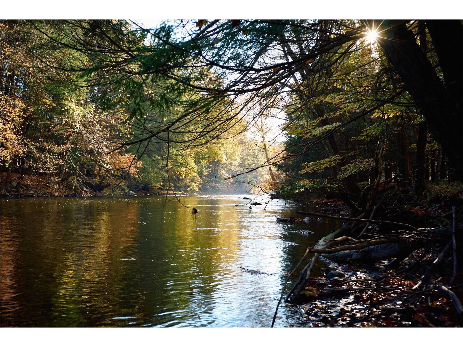 11-Bedroom Home for Sale in Pine Plains, NY, USA - 7