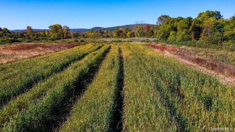 Prédio à Venda em Pawling - Nova Iorque - EUA - 8
