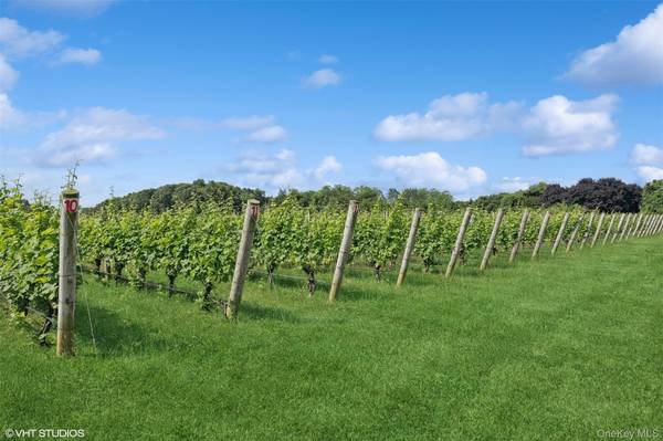 Vinícola y Destilería en Venta en Southold - NY - EE. UU. - 8