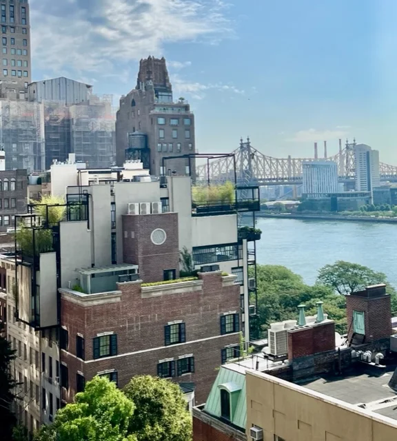 Studio à Venda em Manhattan – New York, NY - 1